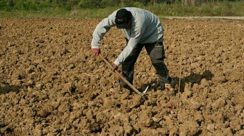 भारत का भाग्य किसानों में और किसानों का भाग्य उसकी खेत की मिट्टी में-उमेशचंद्र पांडेय