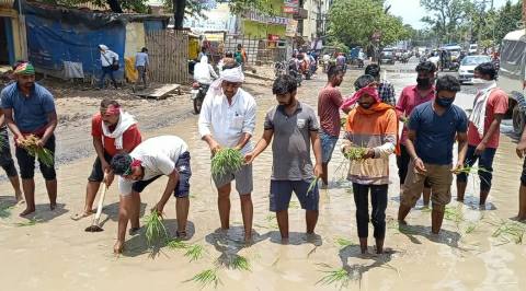 आरा अनाइठ-बाजार समिति रोड पर बने गड्ढे में हुई धान की रोपनी