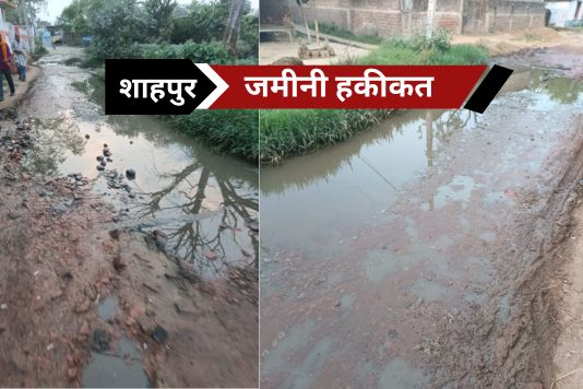 Shahpur Nagar cleaning system - क्या कागजों पर ही होती रहीं है शाहपुर नगर की सफाई ?