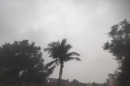 Cyclone Michong - भोजपुर में चक्रवात तूफान मिचौंग का असर, बारिश और हवा ने बढ़ाई ठंड