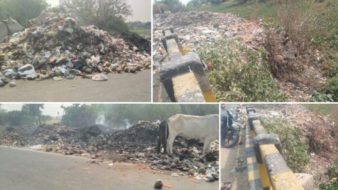 Mountain of garbage in Shahpur - शाहपुर नपं इलाके में खुले में कचरे का पहाड़, फैला रहा है प्रदूषण