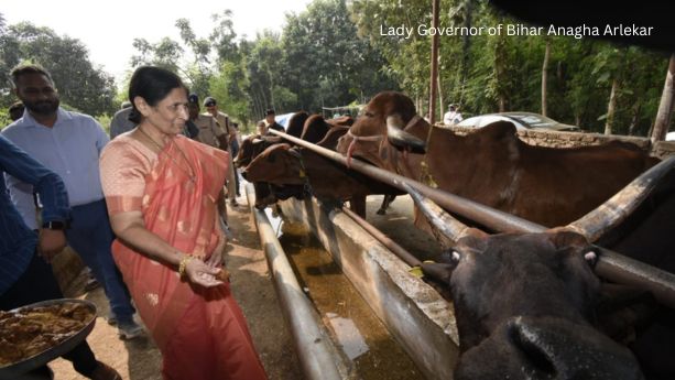 Lady Governor of Bihar Anagha Arlekar - देशी गायों की गौशाला का भी किया भ्रमण और खिलाये गुड़