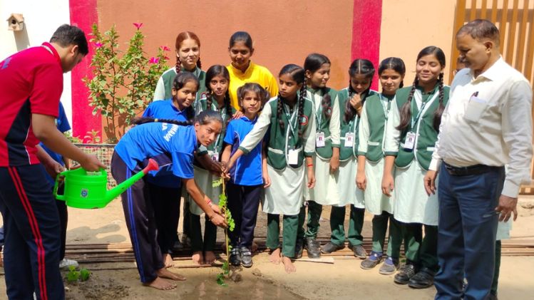 Tree plantation - संभावना स्कूल में विश्व पर्यावरण दिवस पर कार्यक्रम का आयोजन Tree plantation - संभावना स्कूल में विश्व पर्यावरण दिवस पर कार्यक्रम का आयोजन