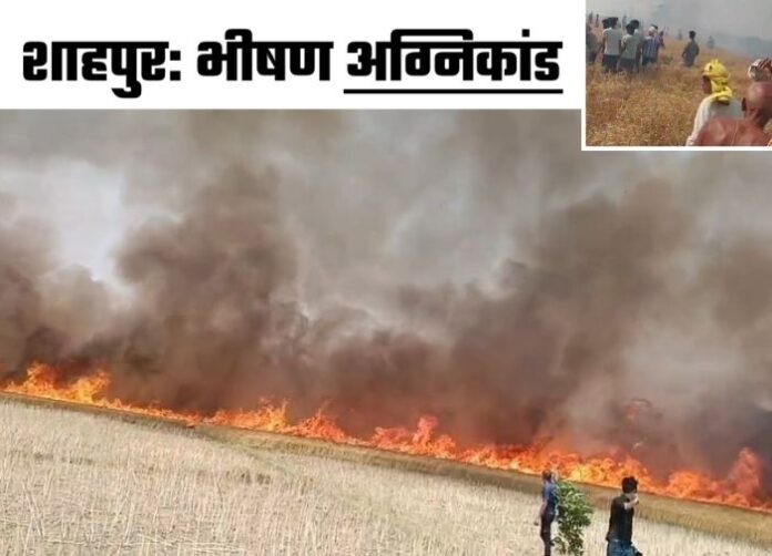 Banahi Fire Incident: 500 Bighas of Wheat Crop Reduced to Ashes
