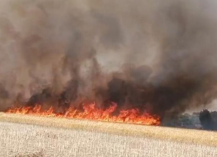 Diara of Shahpur and Karnamepur - The power supply will be cut off from 11 AM to 4 PM.