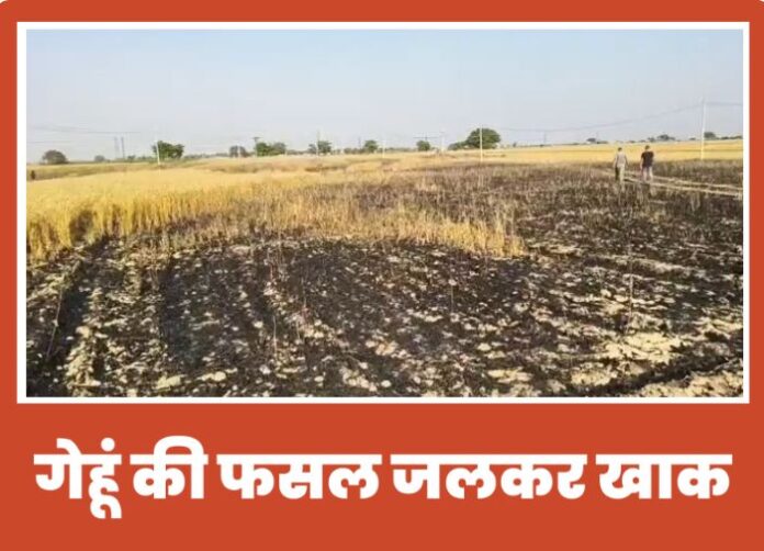 Ramdathhi Diara - Wheat crop burnt to ashes in a massive fire