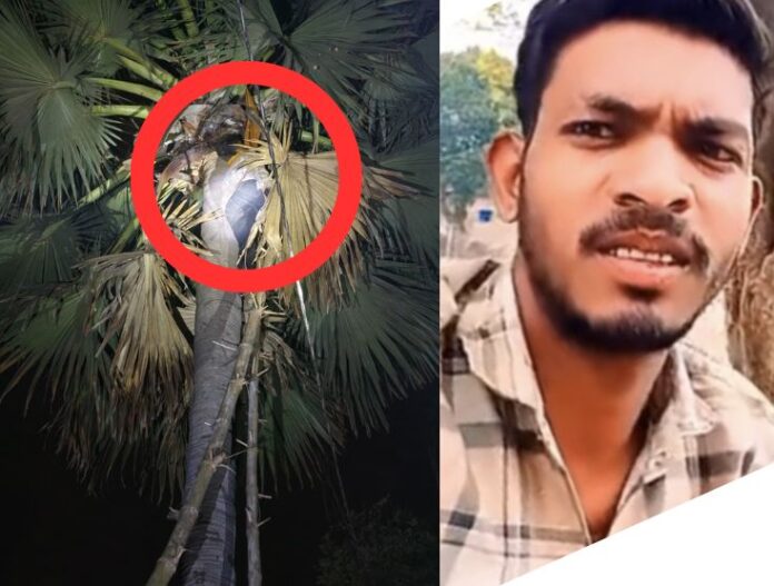 Baruhi Village - Ramsurat Body Found Hanging from a Palm Tree