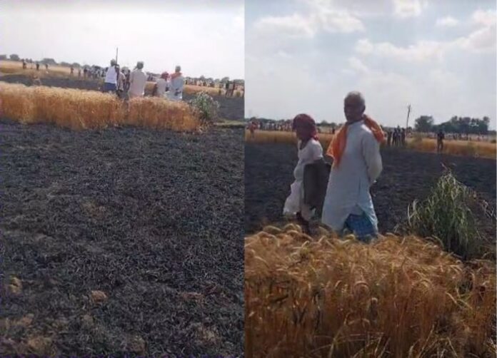Wheat Crop Reduced to Ashes in Bariswan Village, Shahpur Block