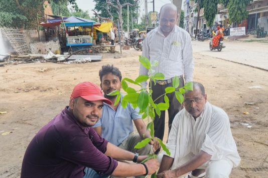 शाहपुर नगर पंचायत में वृक्षारोपण