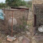 Megaliths Bihar - बिहार की भूमि पर मौजूद मेगालिथ, अति प्राचीन कालखंड का मूक गवाह