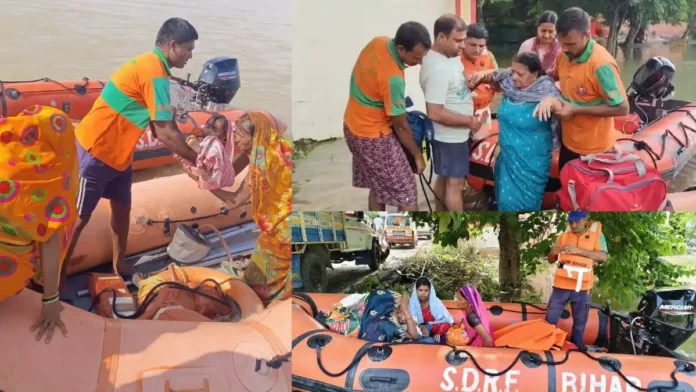 SDRF engaged in helping flood affected people