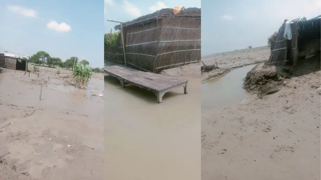 Shahpur Diara - Houses destroyed