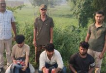 Sikariya Halt News - बीयर के साथ तीन गिरफ्तार